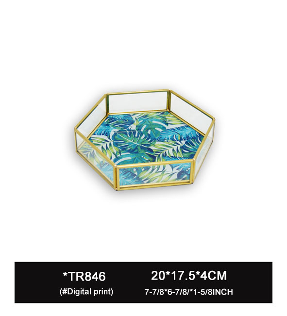 TR846